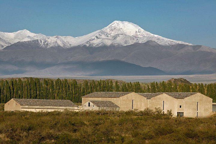 Uco Valley Gourmet Wine Tour with Peter Wine Tours: Boutique Wineries and Malbec (1/6)