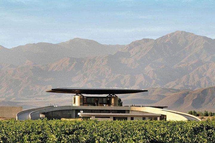 Uco Valley Gourmet Wine Tour with Peter Wine Tours: Boutique Wineries and Malbec (3/6)