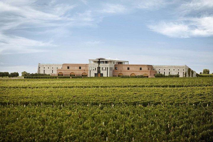 Uco Valley Gourmet Wine Tour with Peter Wine Tours: Boutique Wineries and Malbec (4/6)