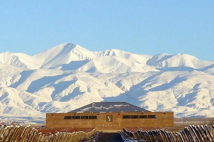 Uco Valley Gourmet Wine Tour with Peter Wine Tours: Boutique Wineries and Malbec (6/6)