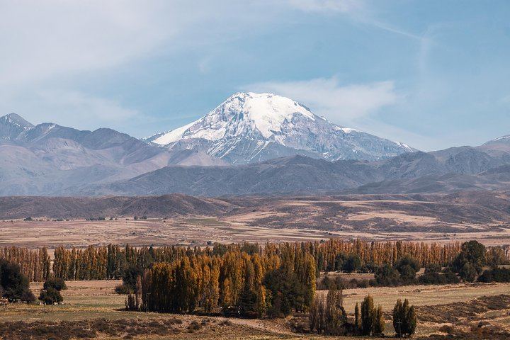 Private Luxury Uco Valley Day: Clos de los Siete, Piedra Negra and La Morada Lunch (4/12)