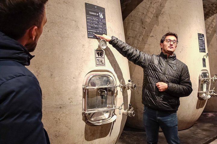 Private Uco Valley Wine Day: Andeluna, Domaine Bousquet and La Azul, High-End Transfers (1/12)