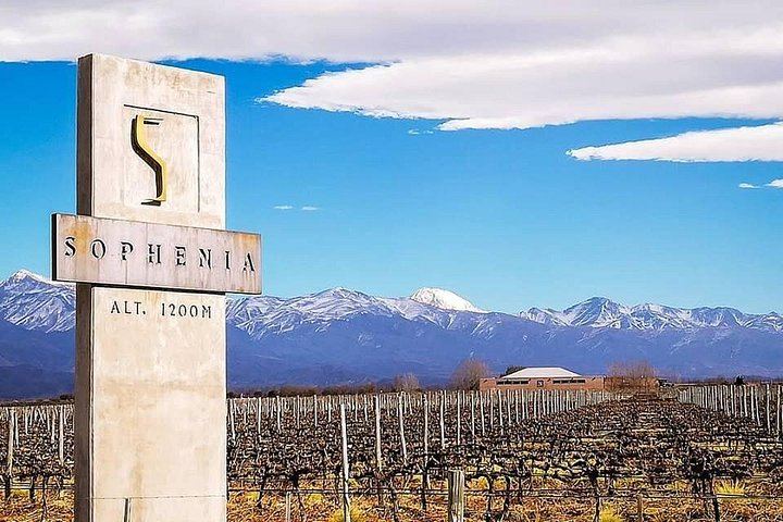 Private Uco Valley Wine Day: Andeluna, Domaine Bousquet and La Azul, High-End Transfers (7/12)