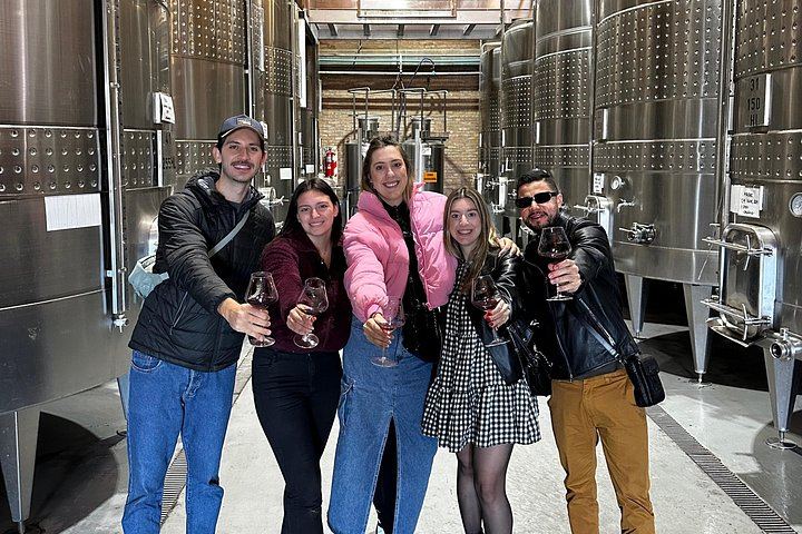 Private Uco Valley Wine Day: Andeluna, Domaine Bousquet and La Azul, High-End Transfers (10/12)