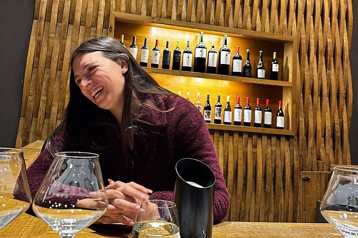 Private Uco Valley Wine Day: Andeluna, Domaine Bousquet and La Azul, High-End Transfers (12/12)