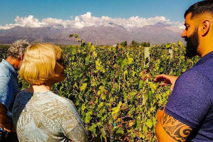 Private Uco Valley Wine Day: Andeluna, Domaine Bousquet and La Azul, High-End Transfers (2/12)