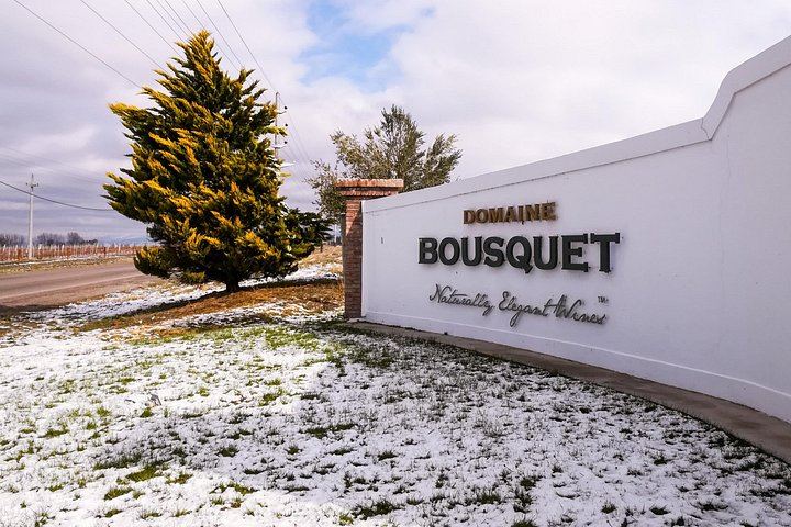 Private Uco Valley Wine Day: Andeluna, Domaine Bousquet and La Azul, High-End Transfers (4/12)