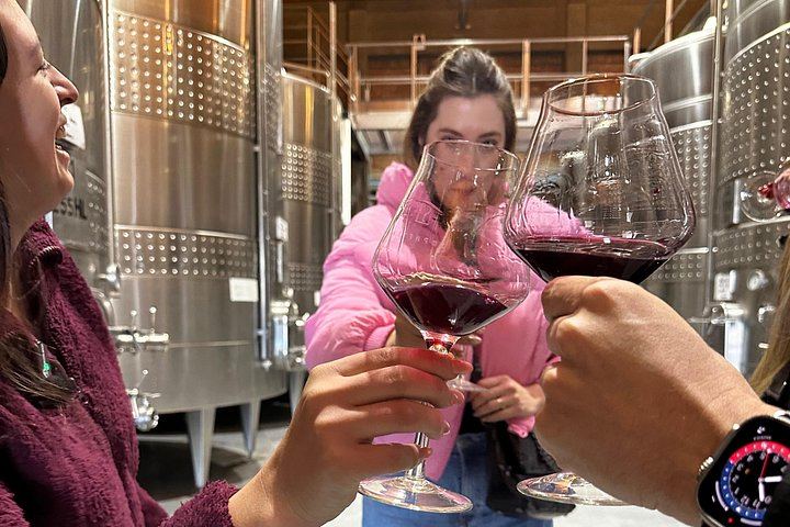 Private Uco Valley Wine Day: Andeluna, Domaine Bousquet and La Azul, High-End Transfers (11/12)