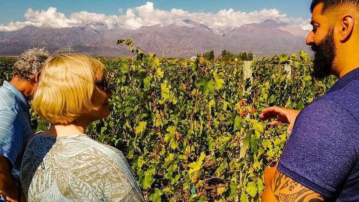 Private Uco Valley Wine Day: Andeluna, Domaine Bousquet and La Azul, High-End Transfers (2/12)
