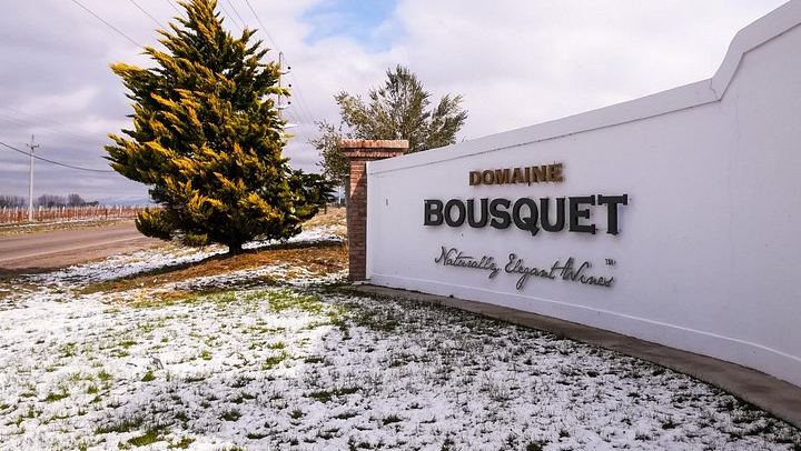 Private Uco Valley Wine Day: Andeluna, Domaine Bousquet and La Azul, High-End Transfers (4/12)
