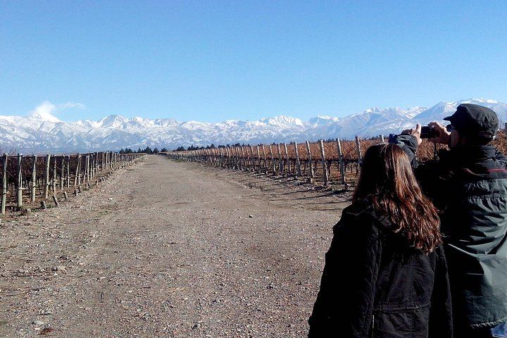 Uco Valley Luxury Wine Day: Salentein, Michelini i Mufatto and Andeluna Lunch (7/12)
