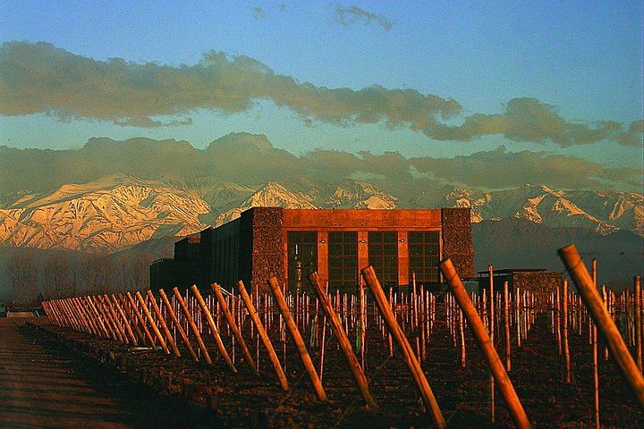 Uco Valley Luxury Wine Day: Salentein, Michelini i Mufatto and Andeluna Lunch (11/12)