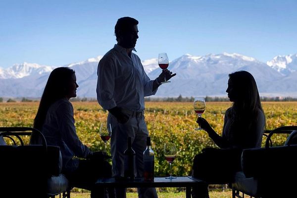Uco Valley Luxury Wine Day: Salentein, Michelini i Mufatto and Andeluna Lunch