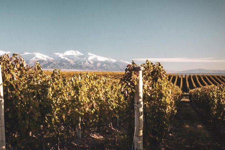 Private Luxury Uco Valley Day: Clos de los Siete, Piedra Negra and La Morada Lunch (9/12)
