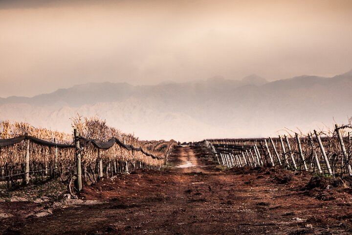 Private Luxury Uco Valley Day: Clos de los Siete, Piedra Negra and La Morada Lunch (11/12)