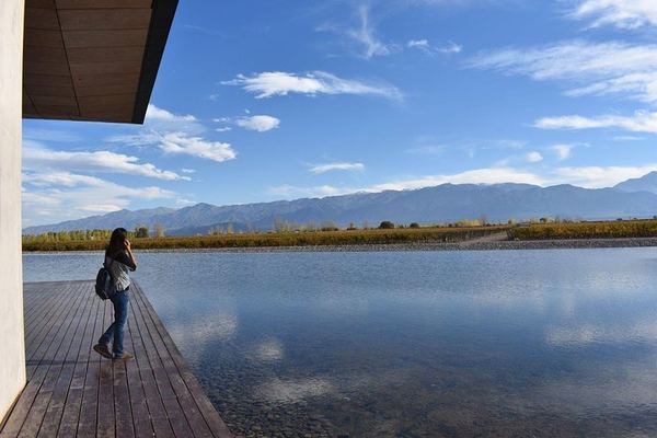 Private Uco Valley Wine Tour: Wineries, Oak Aging Rooms and Paired Lunch
