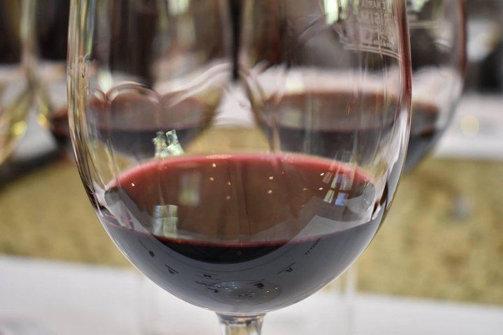 Private Uco Valley Wine Tour: Wineries, Oak Aging Rooms and Paired Lunch (2/5)