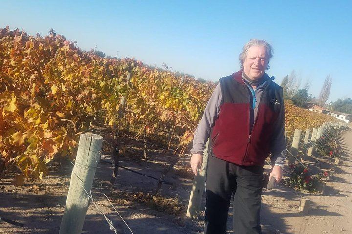 Private Uco Valley Wine Tour: Wineries, Oak Aging Rooms and Paired Lunch (4/5)