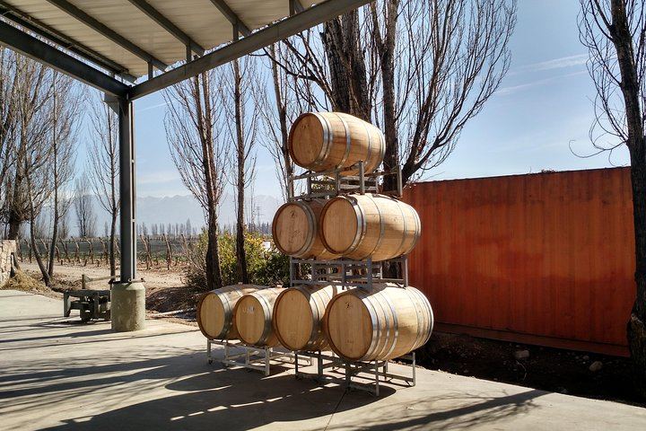 Private Uco Valley Wine Tour: Wineries, Oak Aging Rooms and Paired Lunch (5/5)
