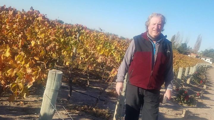 Private Uco Valley Wine Tour: Wineries, Oak Aging Rooms and Paired Lunch (4/5)