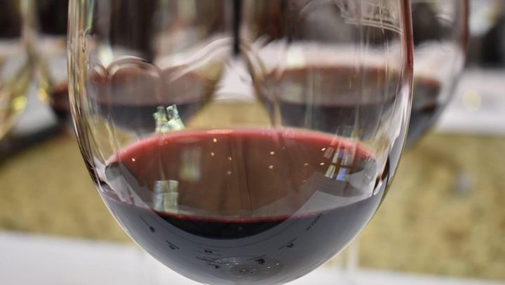 Private Uco Valley Wine Tour: Wineries, Oak Aging Rooms and Paired Lunch (2/5)