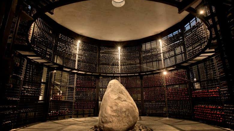 Private Uco Valley Winery Tour from Mendoza: Choose Your Wineries, 8 Hours with Lunch (1/10)