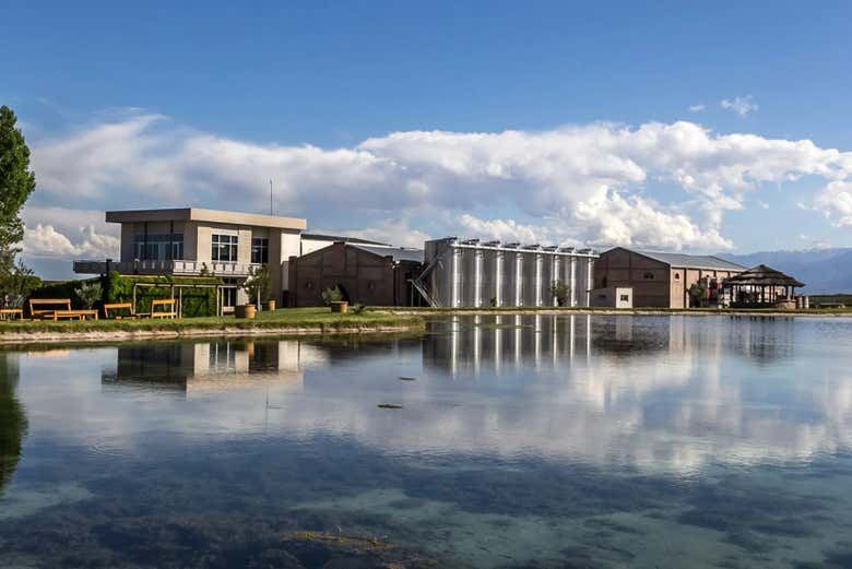 Private Uco Valley Winery Tour from Mendoza: Choose Your Wineries, 8 Hours with Lunch (10/10)