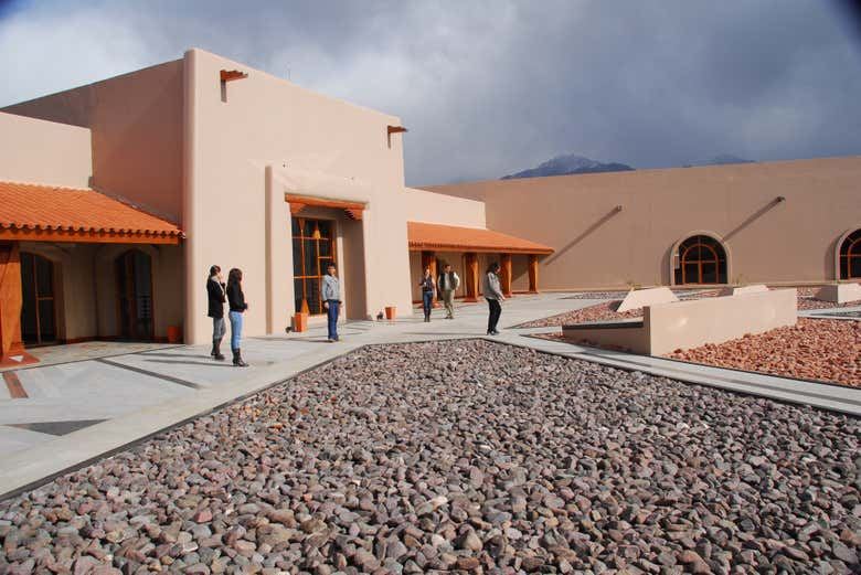 Private Uco Valley Winery Tour from Mendoza: Choose Your Wineries, 8 Hours with Lunch (5/10)