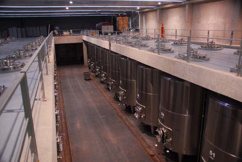 Private Uco Valley Winery Tour from Mendoza: Choose Your Wineries, 8 Hours with Lunch (6/10)