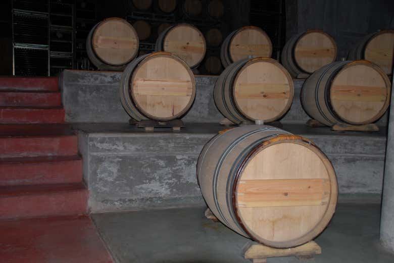 Private Uco Valley Winery Tour from Mendoza: Choose Your Wineries, 8 Hours with Lunch (8/10)