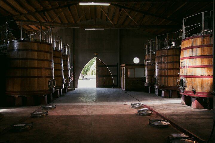 Private Luxury Uco Valley Day: Clos de los Siete, Piedra Negra and La Morada Lunch (10/12)