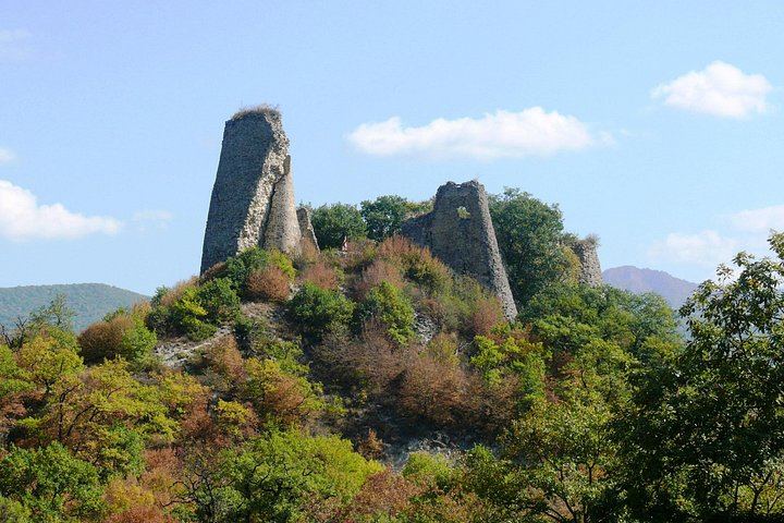 Private Kakheti Tour: Manavi Tasting, Bodbe, Sighnaghi Museum and Telavi (7/7)