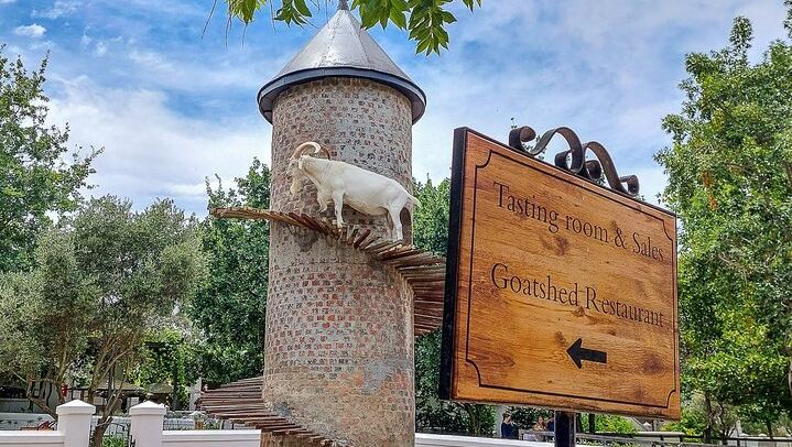 Private Cape Winelands Day from Cape Town: Fairview, Franschhoek, Delaire Graff (2/12)