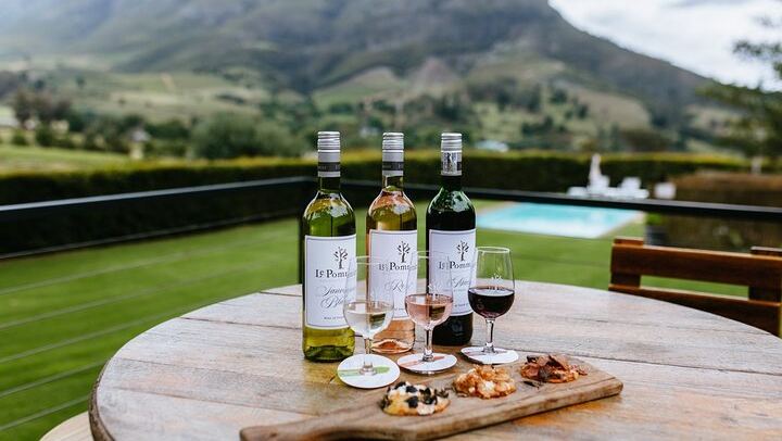 Franschhoek Wine Tram Day from Cape Town: Small Group of 10, Ticket Included, 8 Routes (1/12)