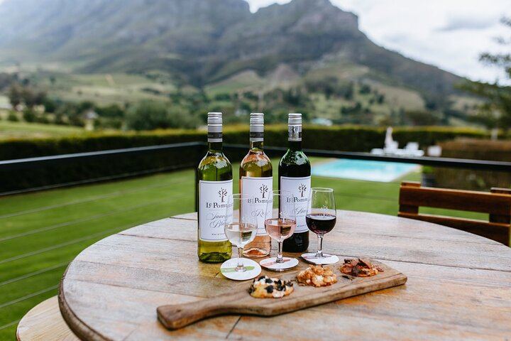 Franschhoek Wine Tram Day from Cape Town: Small Group of 10, Ticket Included, 8 Routes (1/12)