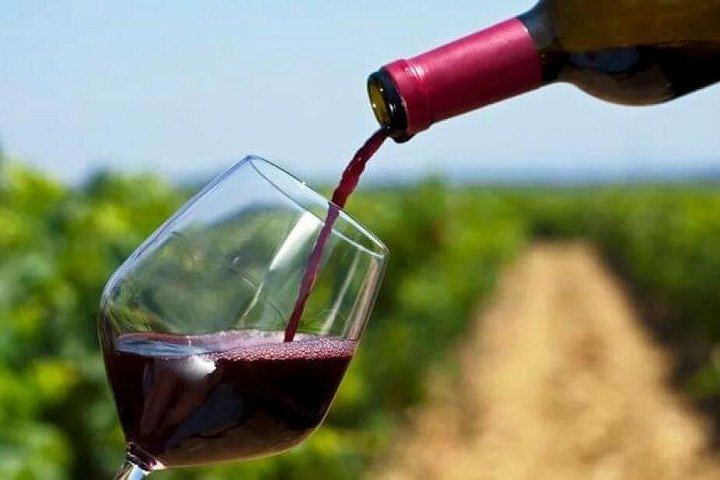 Franschhoek Wine Tram Day from Cape Town: Small Group of 10, Ticket Included, 8 Routes (8/12)