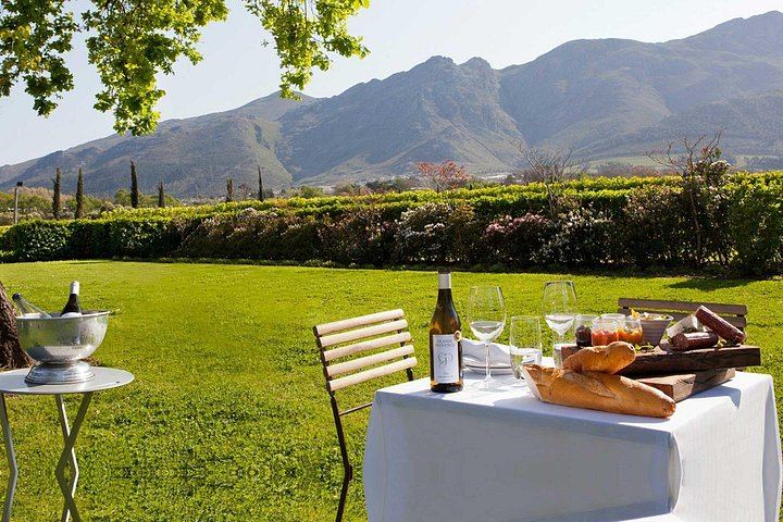 Franschhoek Wine Tram Day from Cape Town: Small Group of 10, Ticket Included, 8 Routes (5/12)