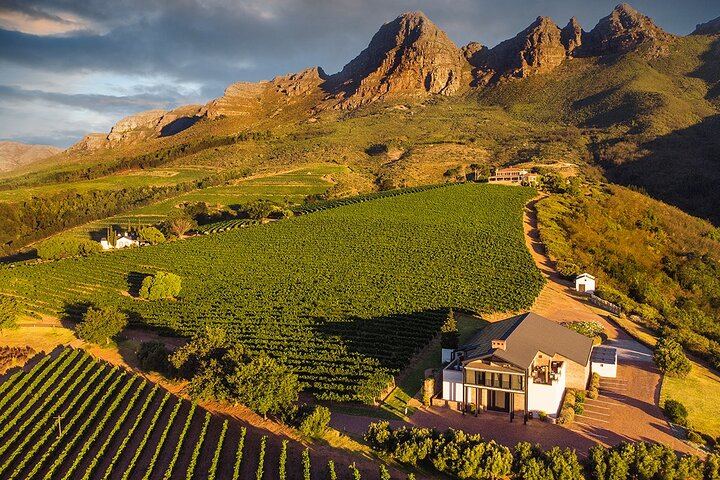 Franschhoek Wine Tram Day from Cape Town: Small Group of 10, Ticket Included, 8 Routes (11/12)