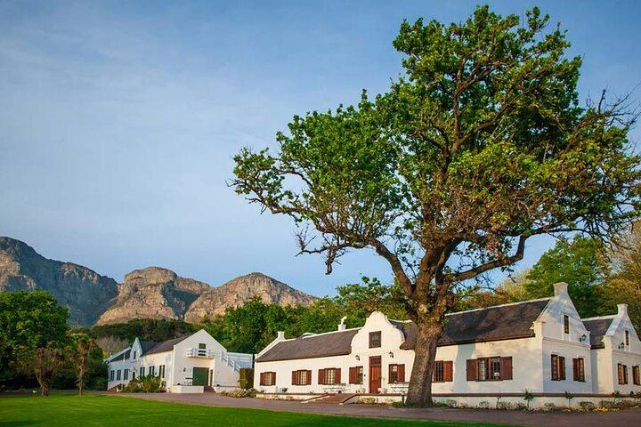 Franschhoek Wine Tram Day from Cape Town: Small Group of 10, Ticket Included, 8 Routes (9/12)