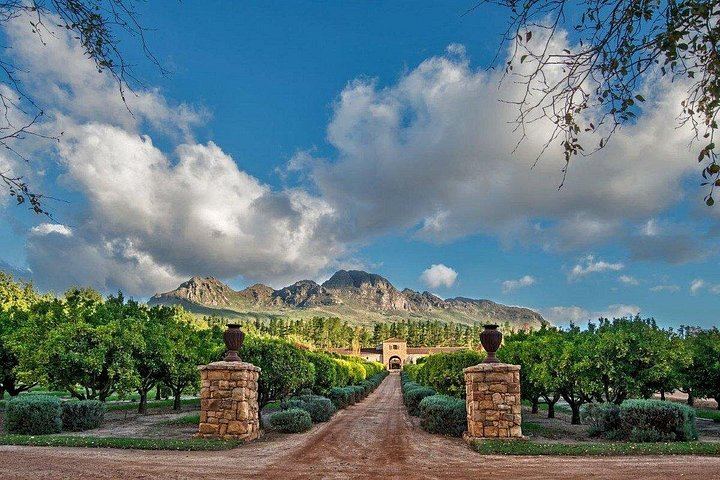 Franschhoek Wine Tram Day from Cape Town: Small Group of 10, Ticket Included, 8 Routes (10/12)
