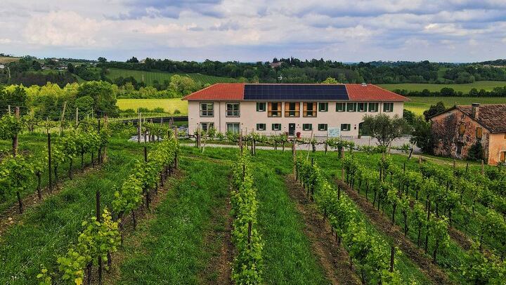 Mani Sagge Prosecco Superiore Tasting in San Pietro di Feletto: Hilltop Walk, 3 Wines (4/6)