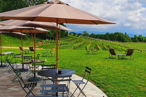 Mani Sagge Prosecco Superiore Tasting in San Pietro di Feletto: Hilltop Walk, 3 Wines