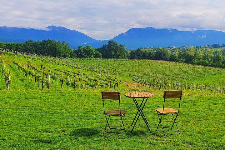 Mani Sagge Prosecco Superiore Tasting in San Pietro di Feletto: Hilltop Walk, 3 Wines (5/6)