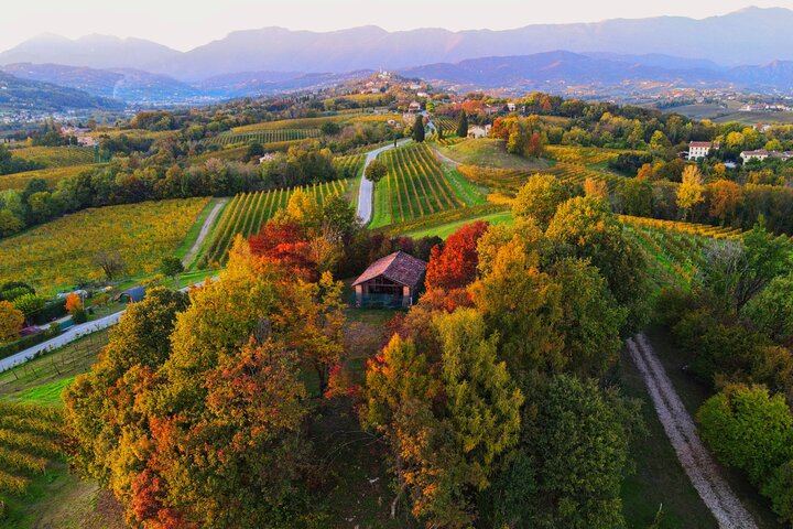 Mani Sagge Prosecco Superiore Tasting in San Pietro di Feletto: Hilltop Walk, 3 Wines (6/6)