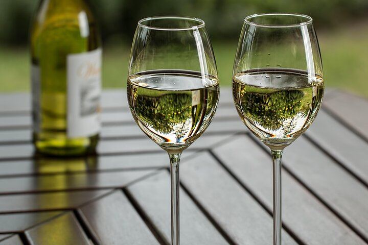 Uncork the Cape Stellenbosch Half-Day Wine Tour: Marianne and Fairview (3/8)