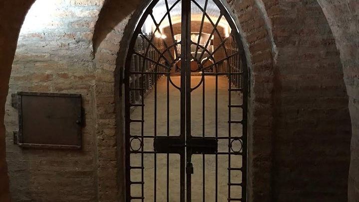 Undurraga Winery Tour by Chilenjoy: Gente de La Tierra Museum and Tasting (4/7)