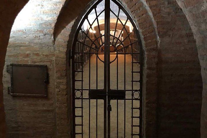 Undurraga Winery Tour by Chilenjoy: Gente de La Tierra Museum and Tasting (4/7)