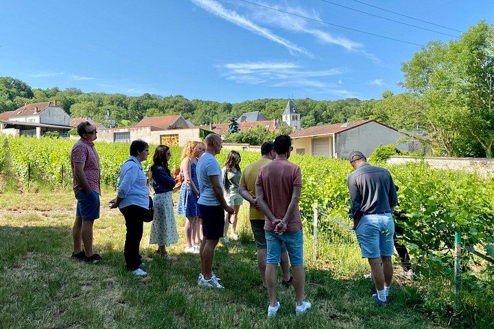 Small-Group Champagne Day from Reims: Cathedral, Two Select Estates, Hautvillers, Épernay (8/12)