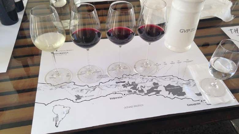 Undurraga Winery Half-Day Tour from Santiago: Mapuche Sculptures and Tasting (3/3)