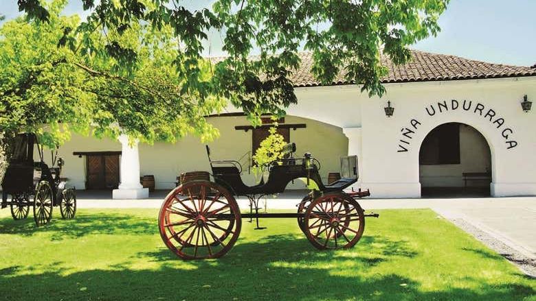 Undurraga Winery Half-Day Tour from Santiago: Mapuche Sculptures and Tasting (1/3)